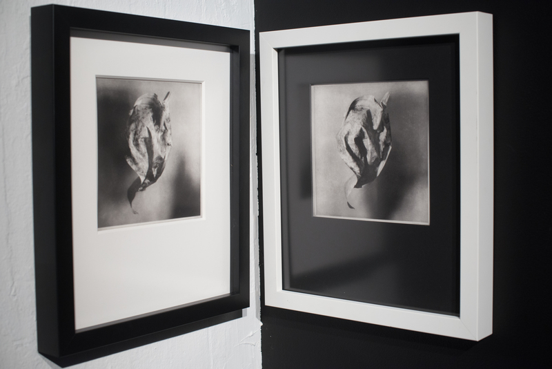 Photolithographs of marbled fabric flying through the air, framed and matted in contrasting black and white on black and walls